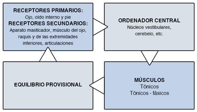 Posturolog�a Cl�nica